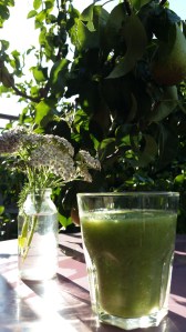 Try my Apple Calm Smoothie to help with nausea